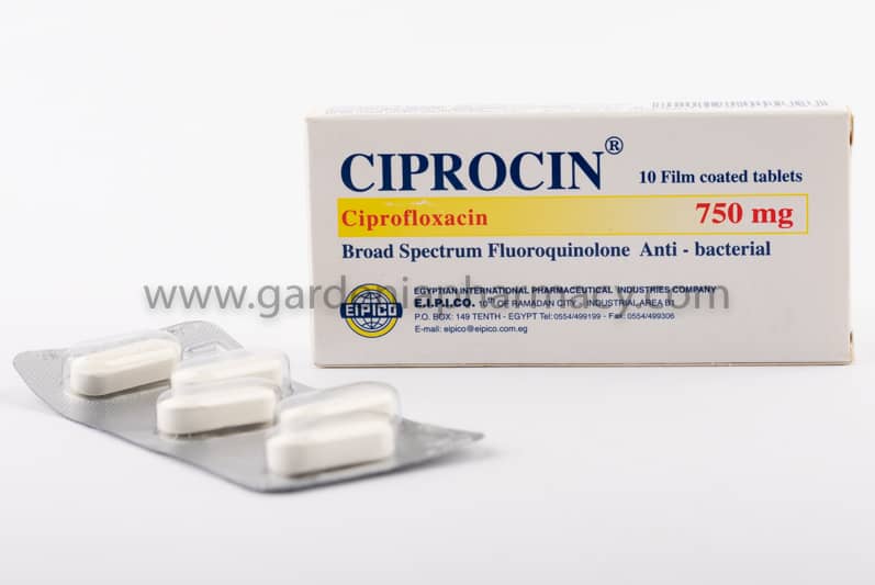 Cold chain partner